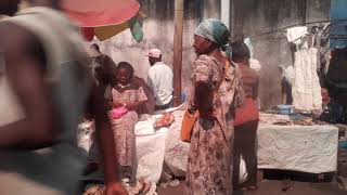 Congo Fish market [upl. by Anuaik]