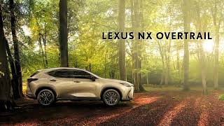 Introducing the new Lexus NX Overtrail [upl. by Jaimie]