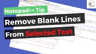 Remove Blank Lines in Selected Text from file in Notepad [upl. by Otsirc342]