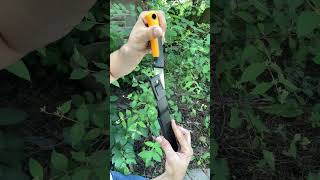 Fiskars Food Gardening Harvesting Knife Review [upl. by Nylrak775]