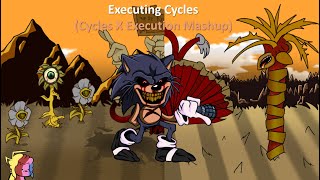 Executing Cycles Cycles X Execution Mashup  Announcement [upl. by Okihsoy]