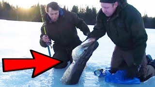 Ice Fishing  Catching BIG fish through the ICE [upl. by Lebazej691]