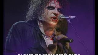 the cure plainsong live 03 08 2004 Cincinnati Riverbend Music Center USA subtitulada [upl. by Arac884]