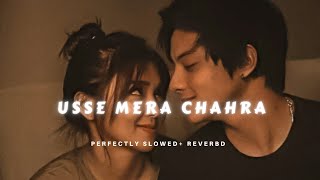 Usse Mera Chahra Chhupa Bhi Naa  Haan Tu Hai  Slowed Reverb Deep Vibes  Topic [upl. by Allare]