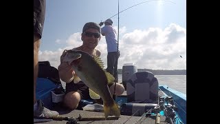 Bass Fishing in the Fall  Shearon Harris Lake NC  Slapped in the Face by Bass [upl. by Eineg863]