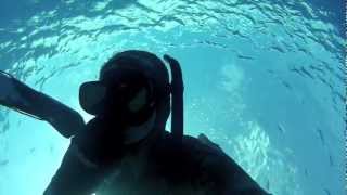 Spearfishing Vanuatu [upl. by Esidnak]