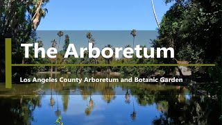 Walk in the LA County Arboretum  Arcadia CA [upl. by Antoinette991]