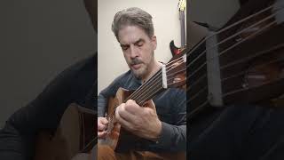 Why you should learn fretless guitar [upl. by Edmead539]