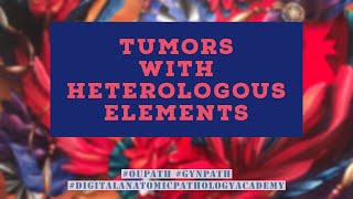 Tumors with Heterologous Elements [upl. by Lubbock]