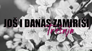 Gazde  Još i danas zamiriši trešnja Official lyric video [upl. by Nepil976]