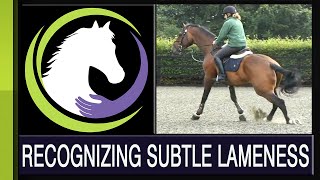 Recognizing Subtle Lameness [upl. by Audres809]