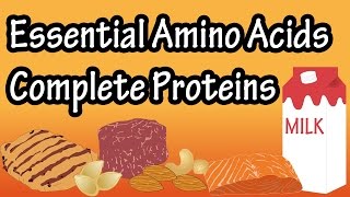 What Are Complete Proteins Incomplete Proteins Essential Amino Acids Non Essential Amino Acids [upl. by Upshaw21]