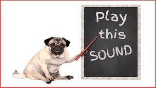 Sound To Make Your Dog Come To You 100 GUARANTEED [upl. by Slorac]