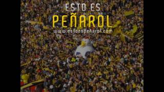 Tema nuevo PEÑAROL Tuyo Siempre  Andres Calamaro [upl. by Zelda539]