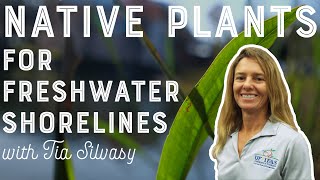 Native Plants for Freshwater Shorelines with Tia Silvasy 4K [upl. by Nerac926]