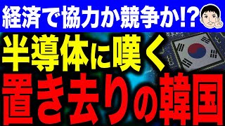 【新しいポテトチップのことかな～🤣】韓国半導体は危機的な状況！？日米台に置き去りにされたサムスン…半導体戦争最前線！ [upl. by Aihsital]