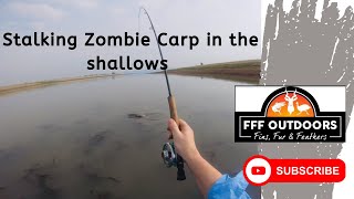 Stalking Zombie Carp in the shallows [upl. by Rengia151]