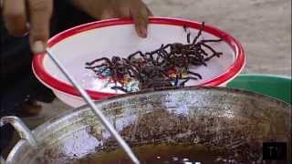 Cooking tarantula spiders and the Cambodian Royal Ballet [upl. by Screens988]