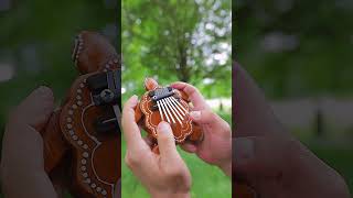 Turtle Thumb Piano Kalimba Sound Demo [upl. by Llerrot691]