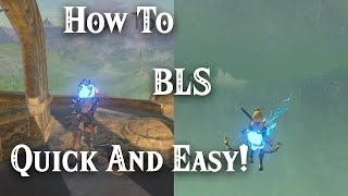 Quick And Easy BLS  BLSS Tutorial [upl. by Kanor]