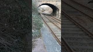 DERBY WORKSOP TEST CLASS 153 at KIVETON BRIDGE [upl. by Margaux]