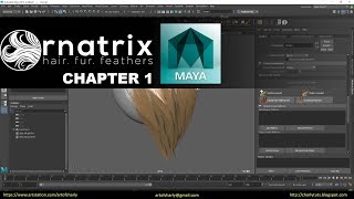 OrnatrixMaya Demonstration hair in Viewport 20 with HairPhysicalShader [upl. by Nohj]