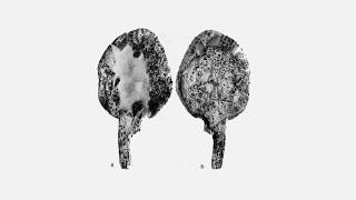 The Oldest Known Spoon and Spatula Gravettian 21000 years ago [upl. by Nnylanna78]