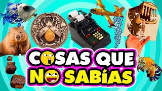 🧠 ¡ 30 DATOS CURIOSOS y COSAS QUE NO SABÍAS  😲⏰️ 38 [upl. by Kussell201]