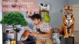 Ormanın Büyücüsü Veteriner Hekim [upl. by Slorac]