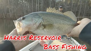 Catching Bass at Harris Reservoir [upl. by Kired122]