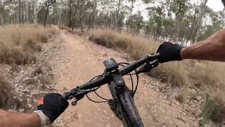 Sweet little Echidna at Gordonbrook Xco trail 1st ride [upl. by Tihom]