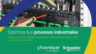 Sonepar amp Schneider Electric [upl. by Nnaacissej649]