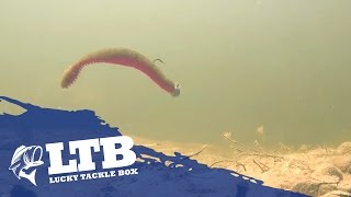 How to Fish a Worm for Bass [upl. by Aldwin]