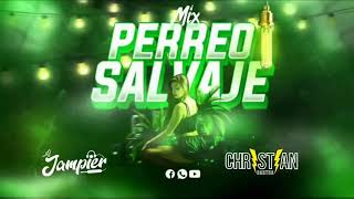 MIX PERREO SALVAJEFELINA GASOLINA VEN BÁILALO BAILAME Y MAS DJ JAMPIER Y DJ CHRISTIAN BARTRA [upl. by Asselim]