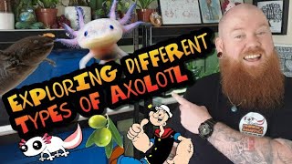 EXPLORING DIFFERENT TYPES OF AXOLOTL [upl. by Clementius65]