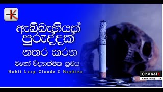 🧿PhysicsTalks ඇබ්බැහියක් පුරුද්දක් නතර කරන මනෝ විද්‍යාත්මක ක්‍රමයHabitLoop [upl. by Yaron460]