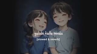 Gulabi kallu rendu slowed reverb song Telugu [upl. by Zink]