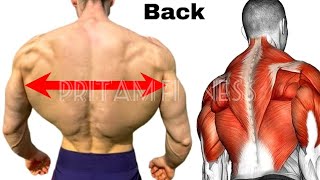 5 BEST BACK WORKOUTS AT GYM [upl. by Enelhtac743]