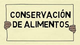 Conservación de los alimentos [upl. by Enyluqcaj996]