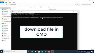 Download File in Command line  Windows 10 [upl. by Annirac]