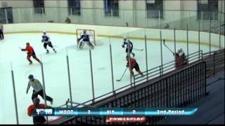 Woodbury vs St Louis Park Girls Hockey Dec 11 2013 [upl. by Reifel]