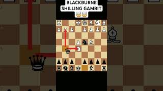 BLACKBURNE SHILLING GAMBIT 🤯🤯 chesss [upl. by Lecram]