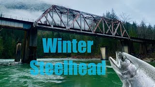 Winter Steelhead Fishing First time [upl. by Ellemrac]