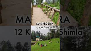 Mashobra Shimla  Offbeat Place Near Shimla  Mashobra shorts saturdayshooters [upl. by Donal]