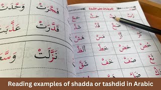 Shadda or tashdid reading examples in Arabic  Arabic for beginners  Self teach Arabic  Shaddah [upl. by Robena]