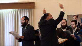 Cantor Shraga Herstik Sings Ribono Shel Olam [upl. by Ardnuaek]