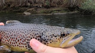 Toccoa River Georgia Fishing Float Trip Tons of Trout [upl. by Leeke]