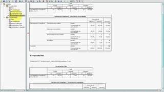 SPSS VideoSeminar  Teil 18 Datenexploration  Kreuztabellen [upl. by Noitsuj874]