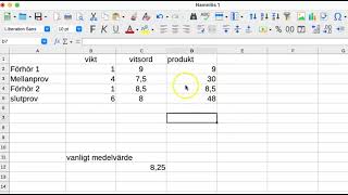 Viktat medelvärde [upl. by Dal]