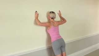 How to improve your shoulder blade stability [upl. by Samaria805]